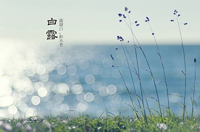 白露降，秋意濃