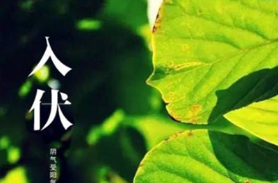 入伏在即，酷暑將至