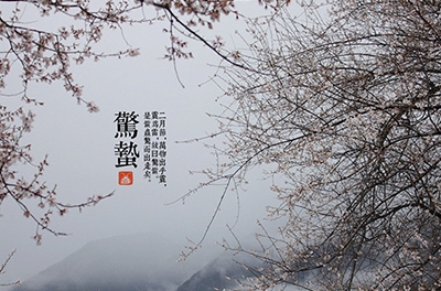 春雷起，驚蟄出
